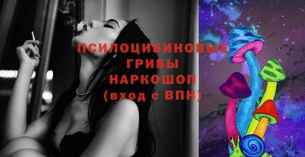 a pvp Инсар