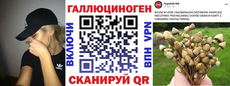 Купить  Оханск  Псилоцибиновые грибы ЛСД 